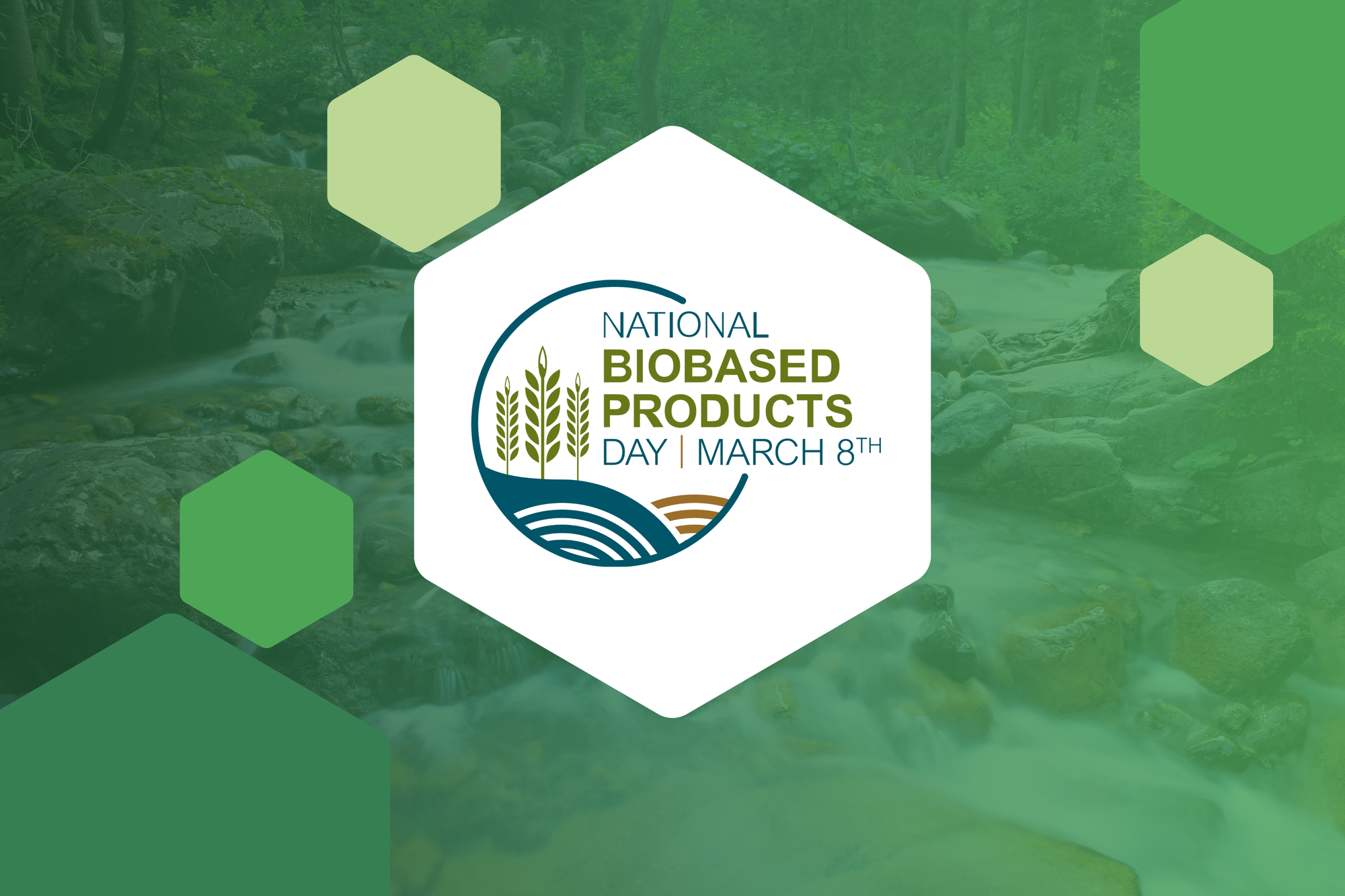 Celebrating National Biobased Products Day: Why Plant-Based Innovation Matters in Safe Drug Disposal