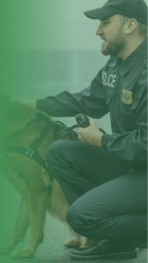 A police officer crouches beside a dog wearing a green tactical vest and harness, with a large solid green overlay covering the left side of the frame.
